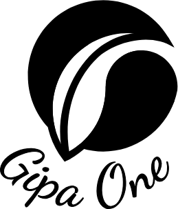 Gipa One (Optimus Latinoamérica)